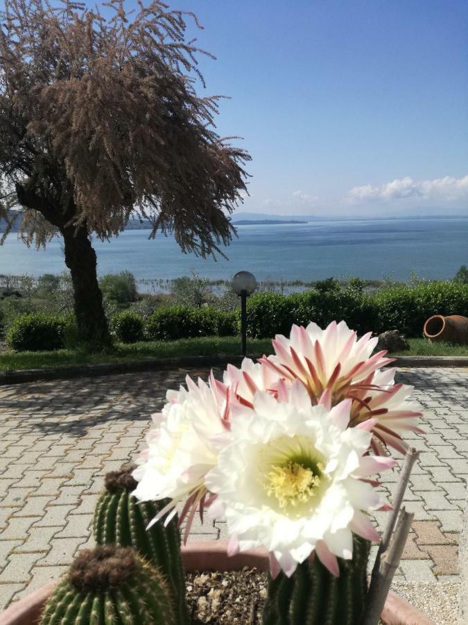 باسّينيانو سول تْرازي B&B Torre Del Lago Trasimeno المظهر الخارجي الصورة