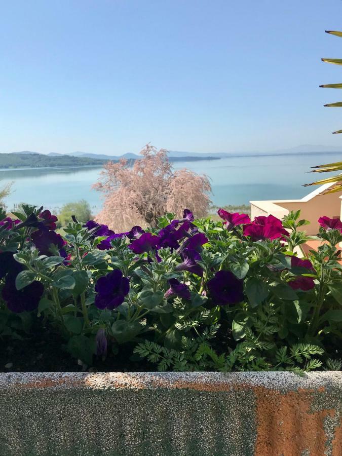 باسّينيانو سول تْرازي B&B Torre Del Lago Trasimeno المظهر الخارجي الصورة