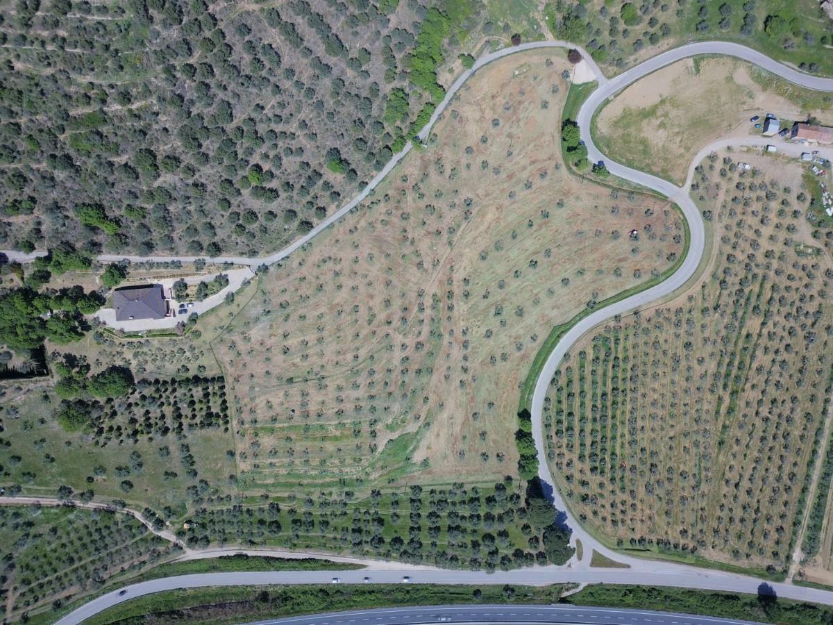 باسّينيانو سول تْرازي B&B Torre Del Lago Trasimeno المظهر الخارجي الصورة