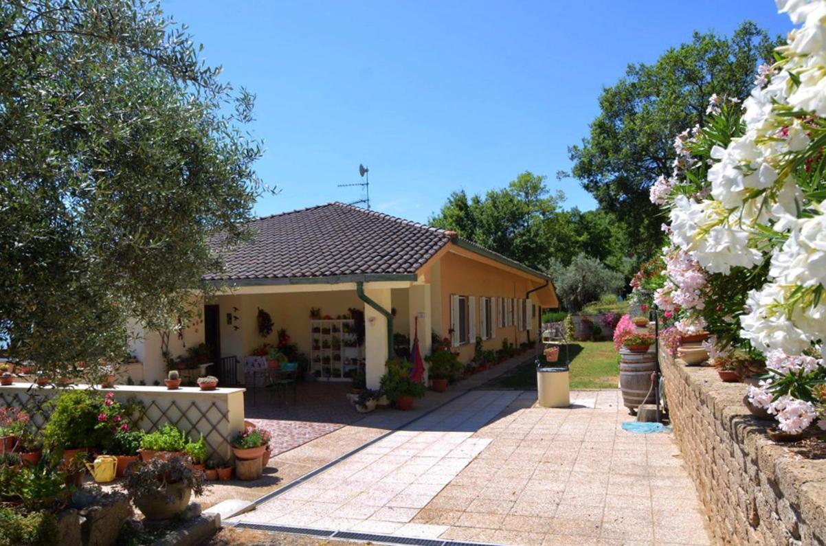 باسّينيانو سول تْرازي B&B Torre Del Lago Trasimeno المظهر الخارجي الصورة